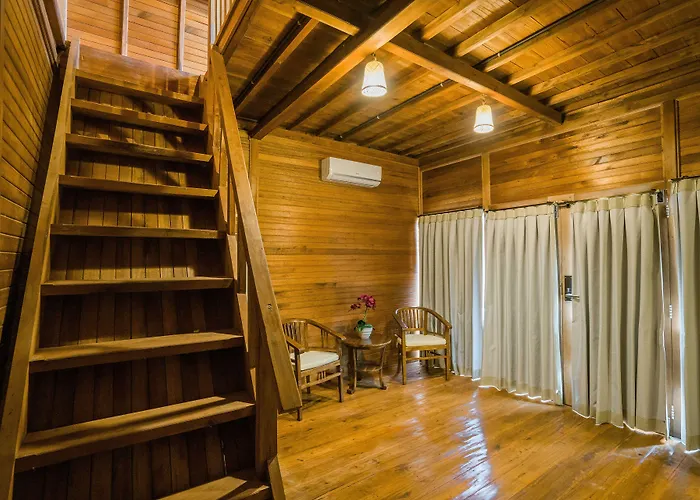 Andi House